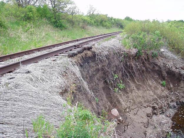 Bank Erosion back